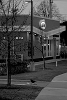 DSCF0444 01