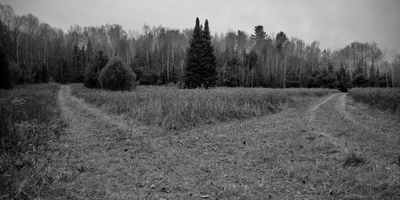 DSCF0563