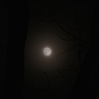 DSCF0638