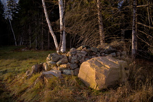 DSCF0783 02