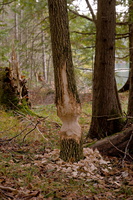 DSCF0820 01