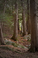 DSCF0835 01