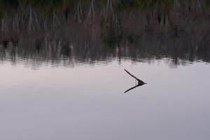 DSCF0828 01