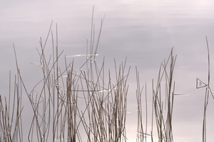 DSCF0827 01