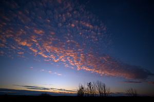 DSCF0899 01