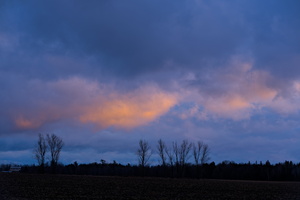 DSCF0961 01