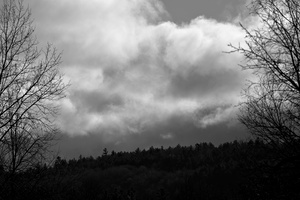 DSCF1237 01
