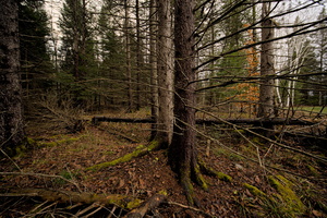 DSCF1257