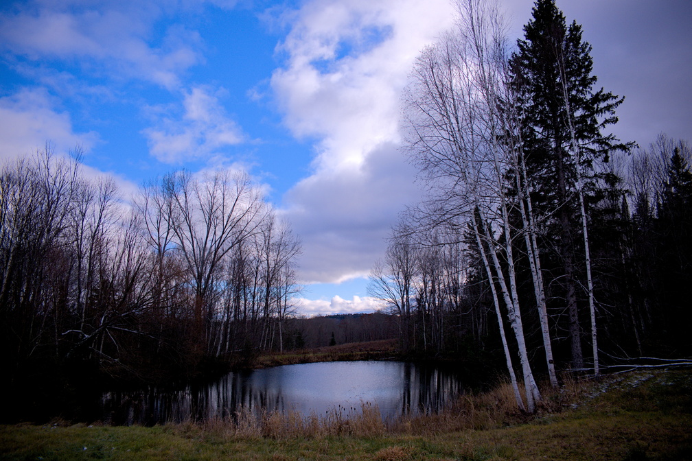 DSCF1291.jpg