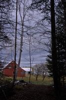 DSCF1369