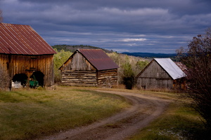 DSCF1374 01