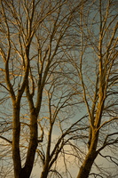 DSCF1784