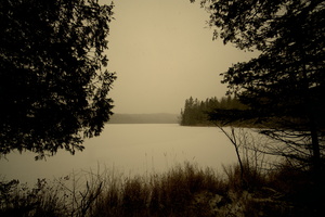 DSCF1810 01