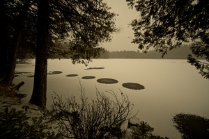 DSCF1819 01