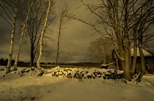 DSCF1867 01