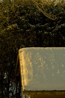 DSCF1906