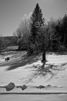 DSCF1973