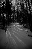 DSCF1979 01
