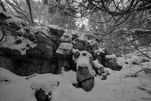 DSCF2009 01
