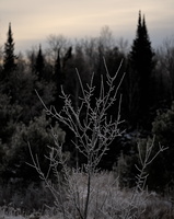 DSCF2094