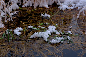 DSCF2067