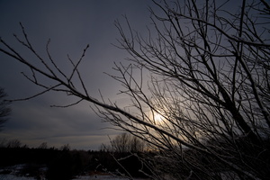 DSCF2088