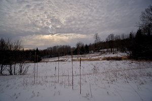DSCF2213