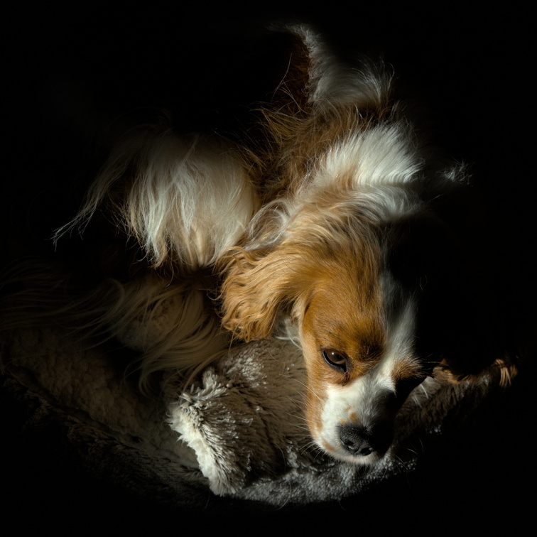 DSCF2302.jpg