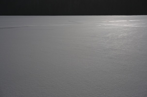 DSCF2314 01