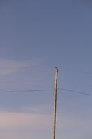 DSCF2417 01