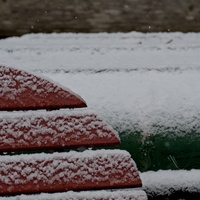 DSCF2737