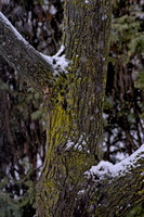 DSCF2743