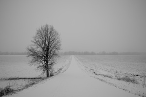 Mantil Side Road, Panmure