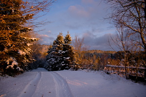 DSCF2771 01