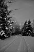 DSCF2774