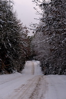 DSCF2926 01