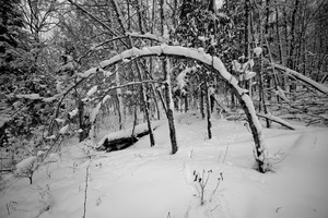 DSCF2829
