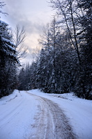 DSCF2937