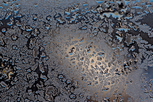 DSCF2956 01