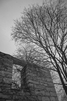 DSCF3021