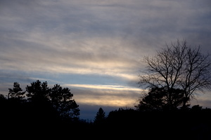 DSCF3098