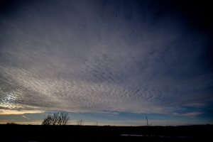 DSCF3187 01