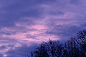 DSCF3245