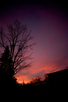 DSCF3230 01