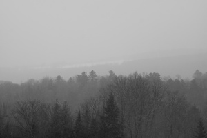 DSCF3274