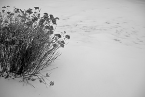 DSCF3280
