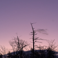 DSCF3509