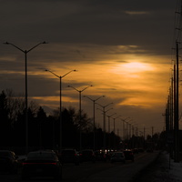 DSCF3514