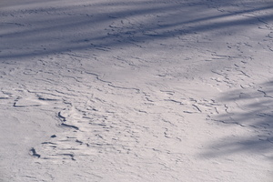 DSCF3576 01