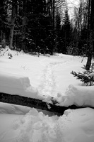 DSCF3960